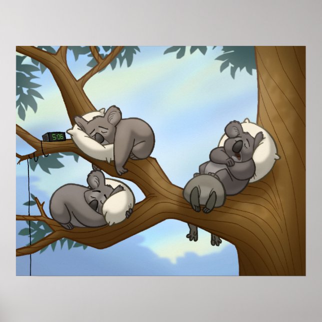 Dormir Koala Poster (Frente)