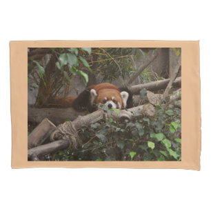 Dormirá bem com o Red Panda.