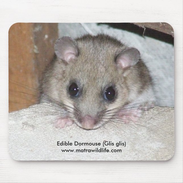 "Dormouse comestível" Mousepad (Frente)
