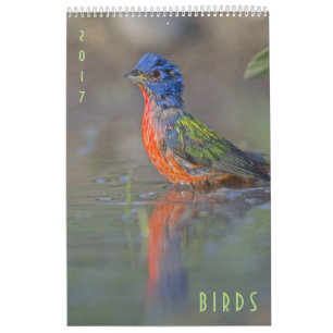 Dos pássaros dos animais selvagens calendário 20