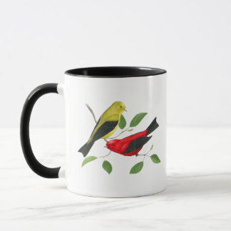 Dos Tanagers do pássaro escarlate da caneca da