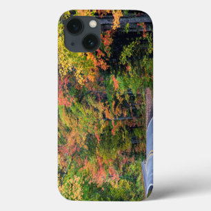 Dose de outono ao longo da rodovia 41 2