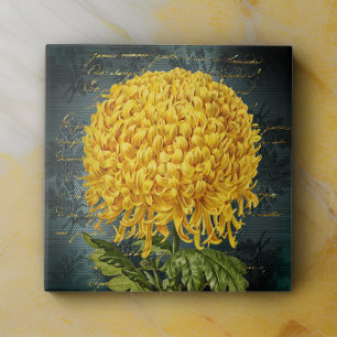 Dourado crisântemo no Teal Damask e Manuscrito