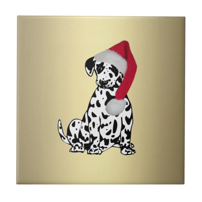 Dourado Dalmático de Natal (Frente)