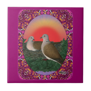Doves emoldurados