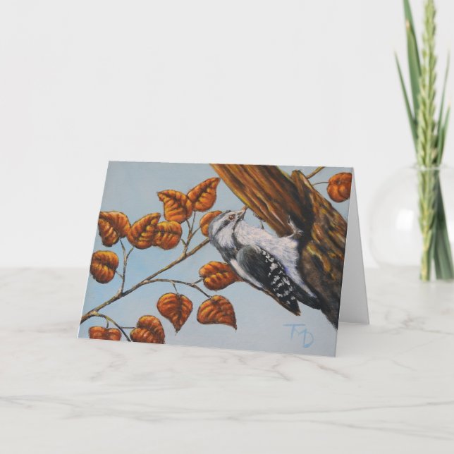 Downy Woodpecker - Cartão de Saudação de Vazio (Frente)