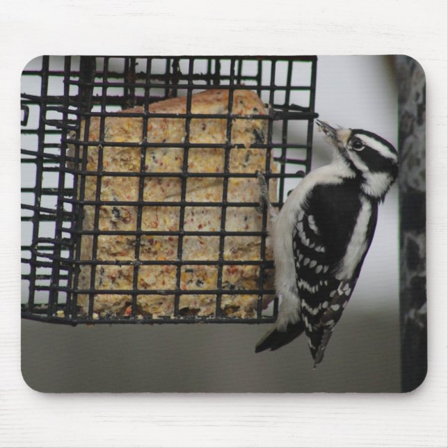 Downy Woodpecker Mousepad (Frente)