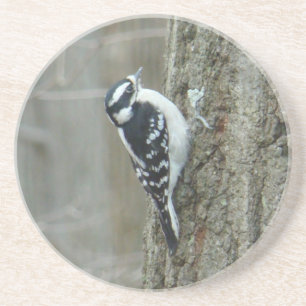 Downy Woodpecker Porta copos feminina