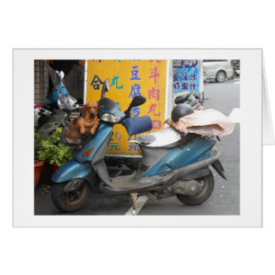 Doxie no cartão da cesta