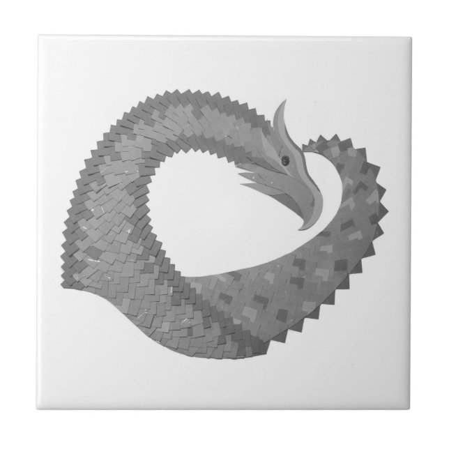 Dragão cardíaco de cinza em branco (Frente)