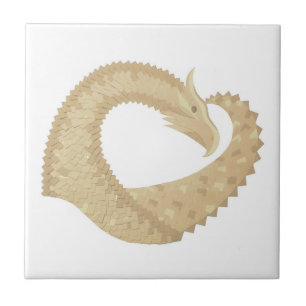 Dragão cardíaco Sandstone em branco