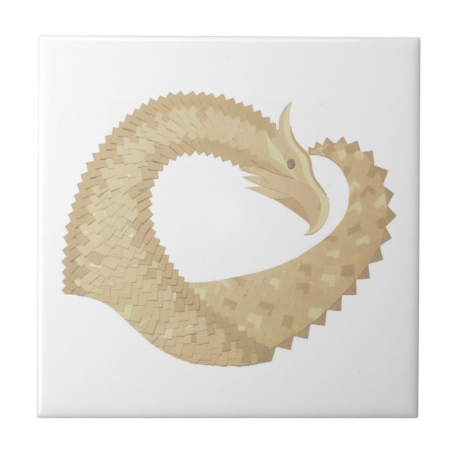 Dragão cardíaco Sandstone em branco (Frente)