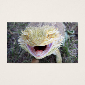 Dragão de Barba Super Feliz