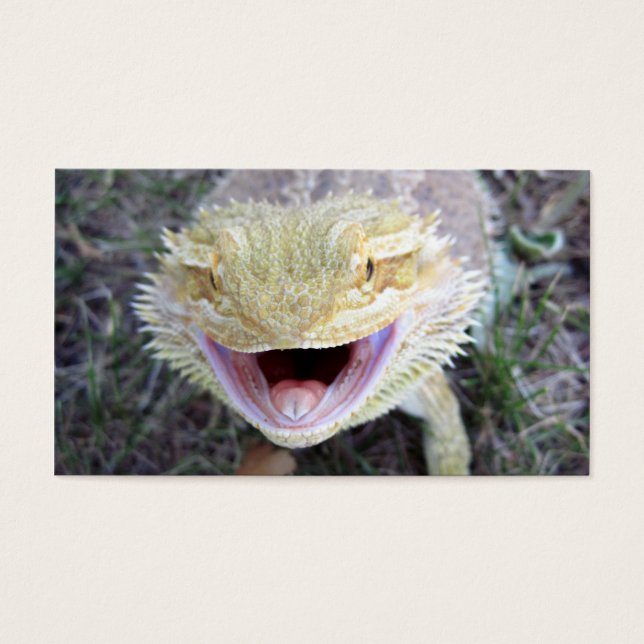 Dragão de Barba Super Feliz (Frente)