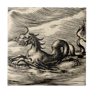 Dragão do mar no equador