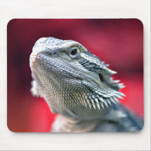 Dragão Mousepad principal