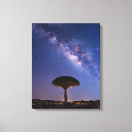 Dragon Blood Tree Milky Way Canvas Ancient Nature