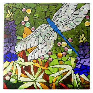 dragon-fly, libélula