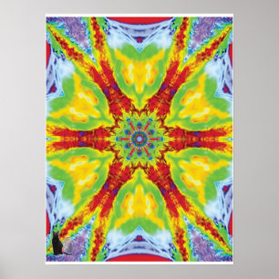 Dragoneye coloração cinética Kaleidoscope Poster