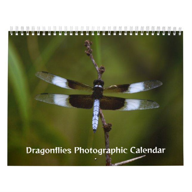 Dragonflies Calendário Fotográfico (Capa)