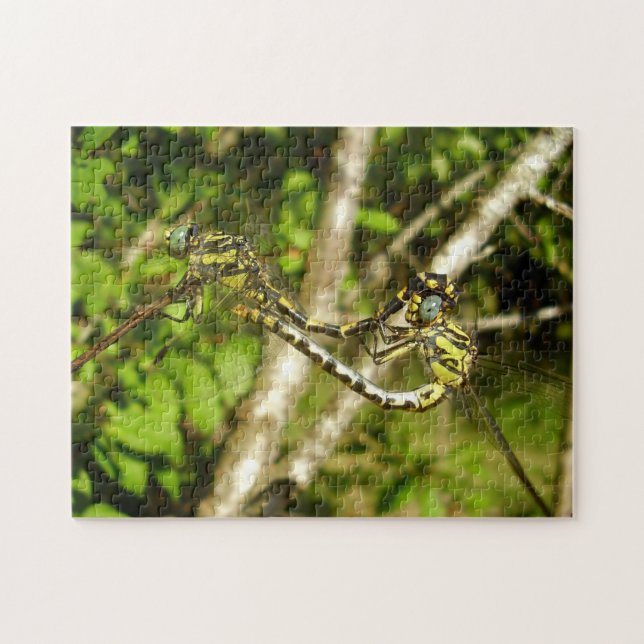 Dragonflies Foto Quebra-cabeça e Caixa de presente (Horizontal)
