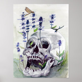 Dragonflies, Impressão