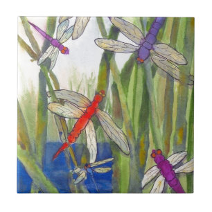 Dragonflies Summer