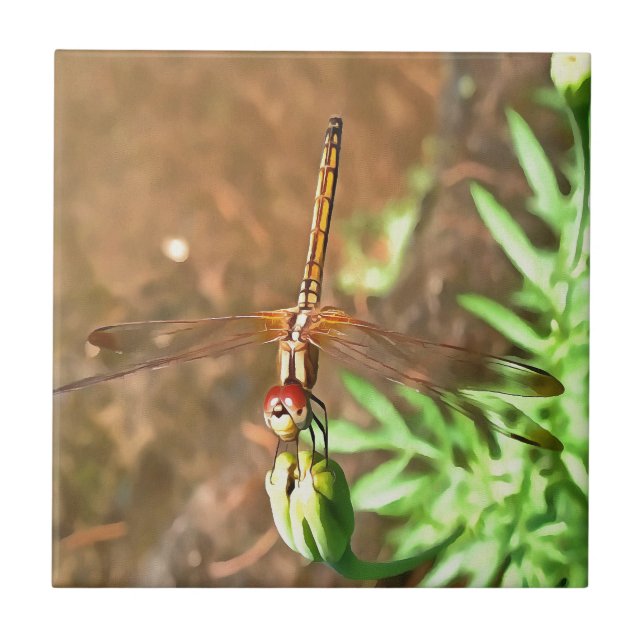 Dragonfly Artística Descendo Na Cabeça Da Flor (Frente)