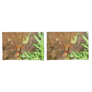 Dragonfly Artística Descendo Sobre Uma Cabeça De
