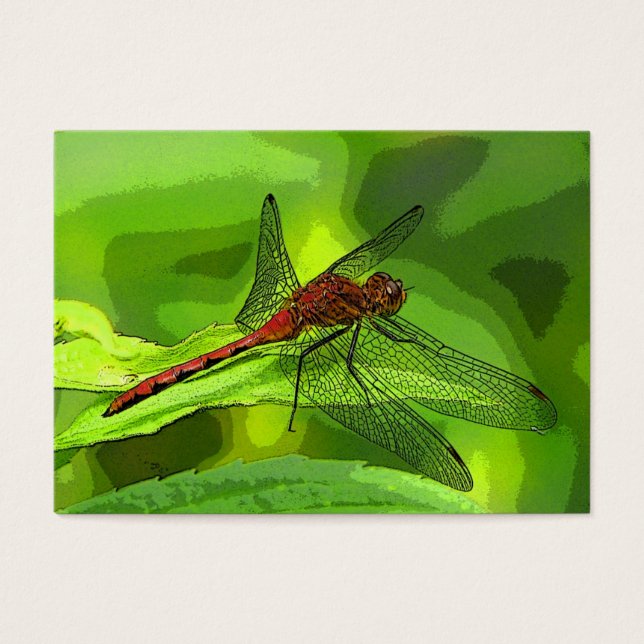 Dragonfly ATC (Frente)