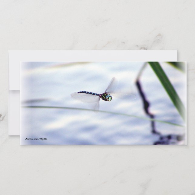 Dragonfly Azul (Frente)