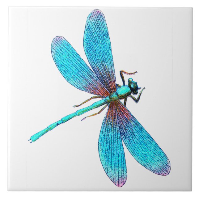 Dragonfly Azul Brilhante (Frente)