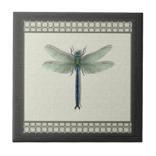 Dragonfly Azul Elegante
