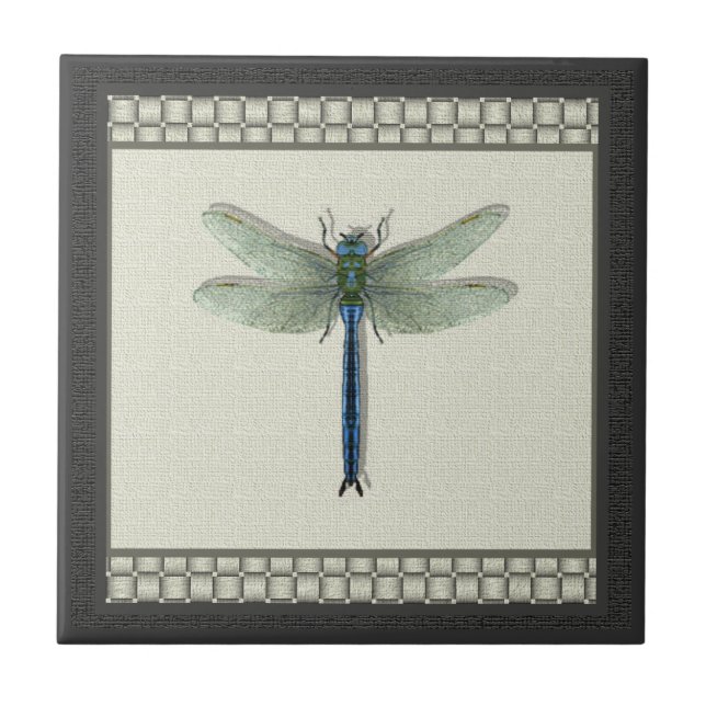 Dragonfly Azul Elegante (Frente)