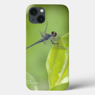 Dragonfly Azul em folhas iPad Case