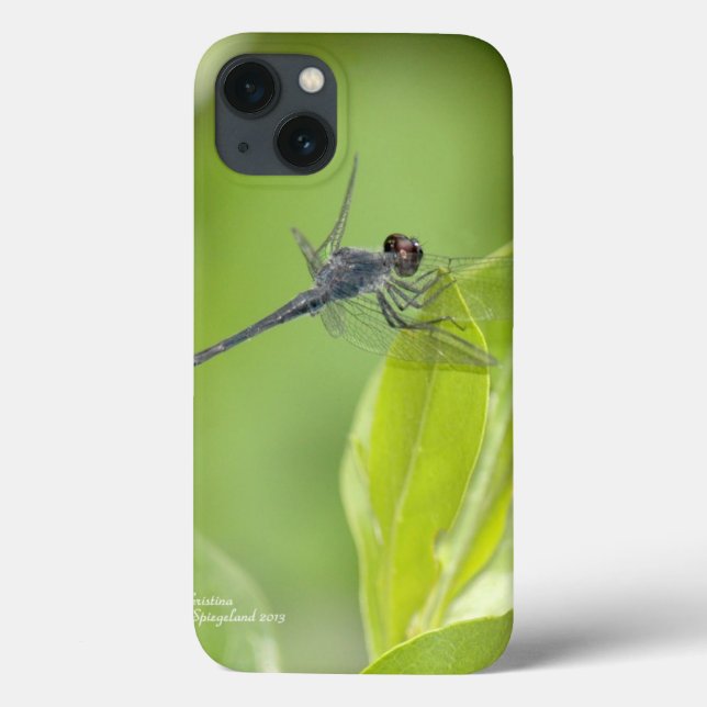 Dragonfly Azul em folhas iPad Case (Verso)