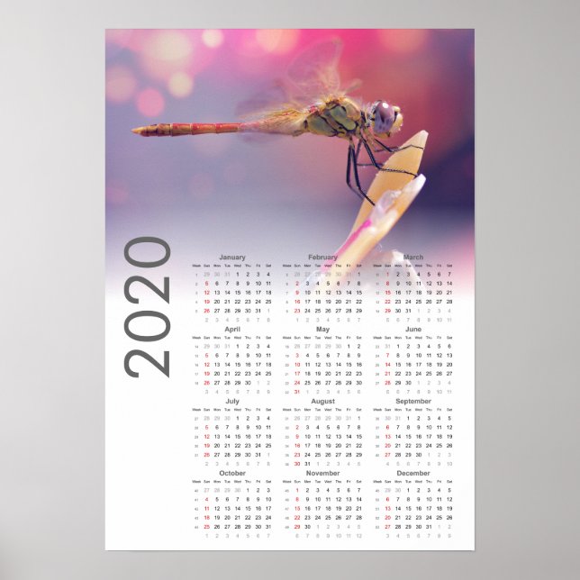 Dragonfly Calendar 2020 Poster (Frente)