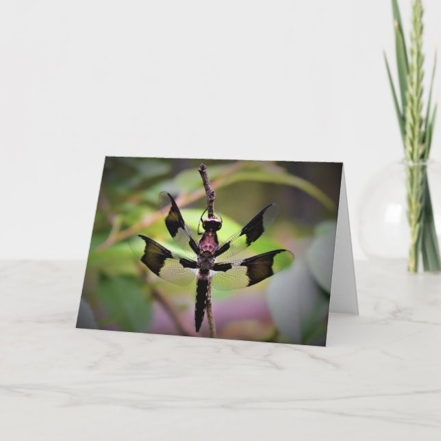 Dragonfly, cartão (Frente)