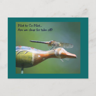 Dragonfly Co Piloto Humorístico Cartão Postal