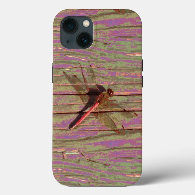 Dragonfly Colorful (Verso)