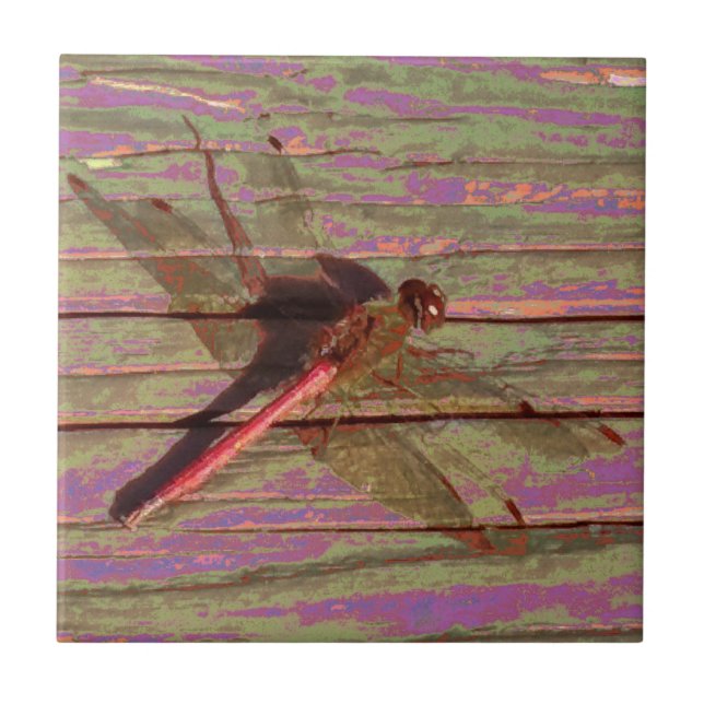 Dragonfly Colorful (Frente)