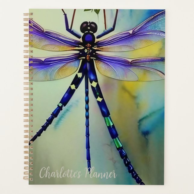 Dragonfly De Aquarela, Planejador (Frente)