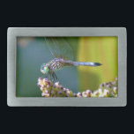 Dragonfly de olhos lacrimejados<br><div class="desc">Dragonfly colorida Rainbow Dragonfly sobre uma flor rosa púrpura, Rainbow Dragonfly Blue Dragonfly sobre flores roxas. dragão, moscas, libélulas, libélulas, voando, dragões, insetos, insetos, jardim, natureza, crescimento, plantas, libélulas e damalquetes, coloridos, azuis, verdes, roxos, fuchsia, </div>