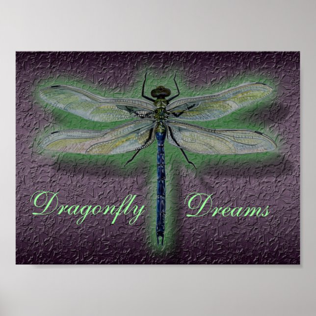Dragonfly Dreams Poster (Frente)