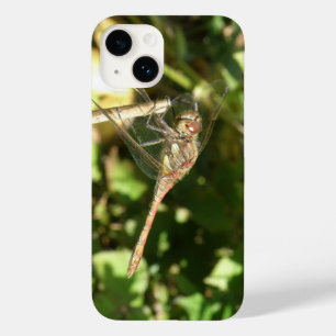 Dragonfly em um galho
