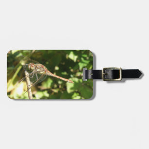Dragonfly em uma Etiqueta de bagagem personalizada