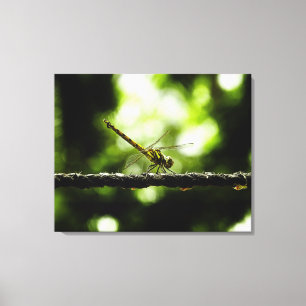 Dragonfly em verde - Canvas
