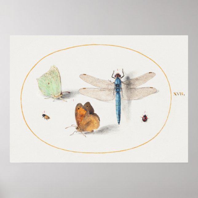 Dragonfly Illustration Poster (Frente)