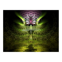 Dragonfly Magic Poster
