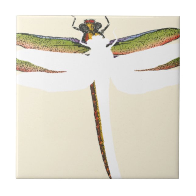 Dragonfly Miniatura em Fundo Branco (Frente)